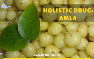 Holistic Drug : Amla